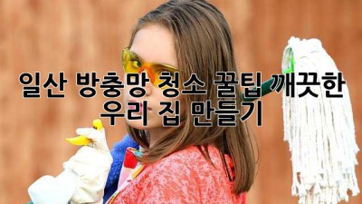 일산 방충망 청소 꿀팁🍯: 깨끗한 우리 집 만들기✨